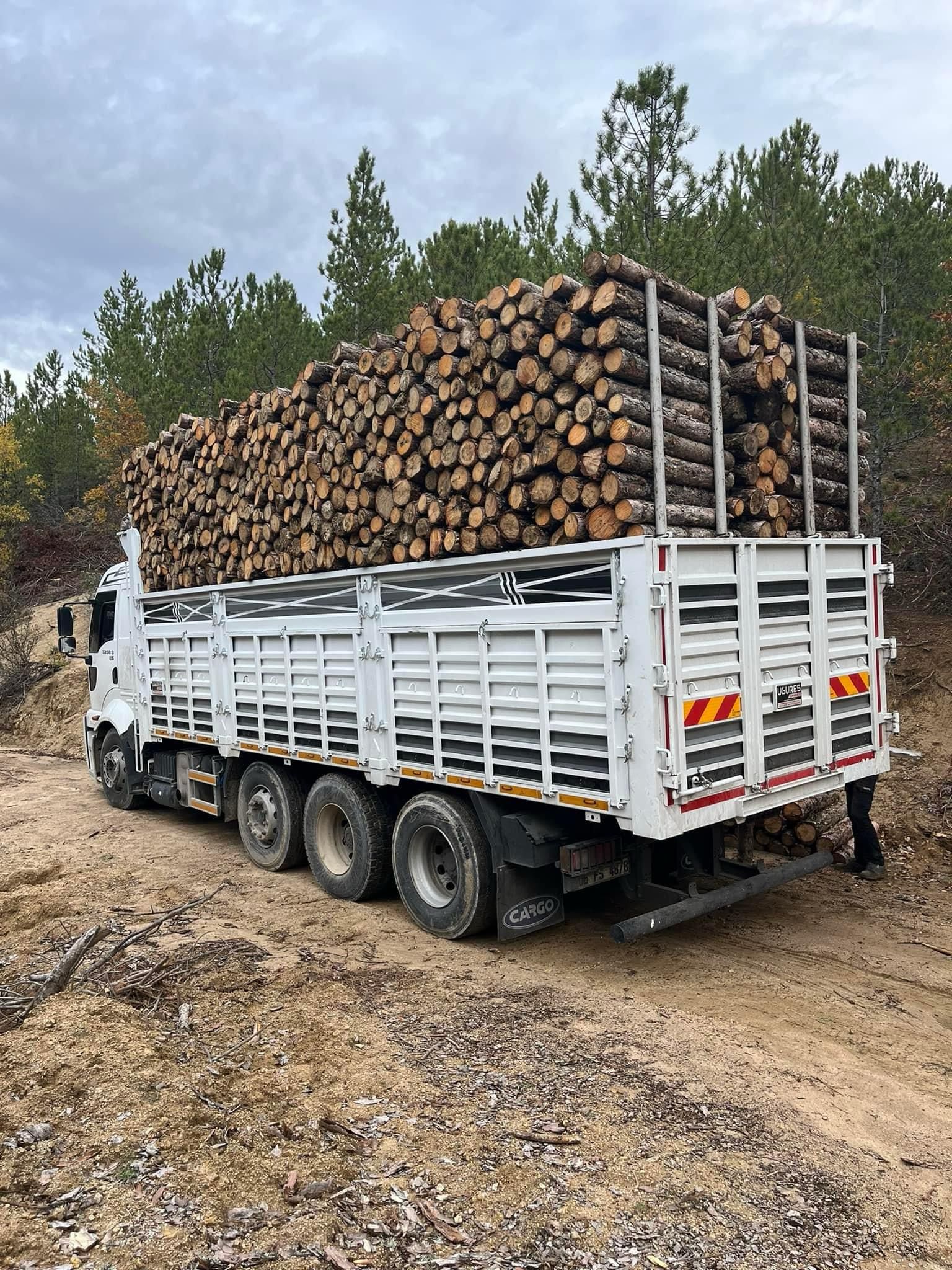 Şanver Orman Ürünleri ve Nakliye